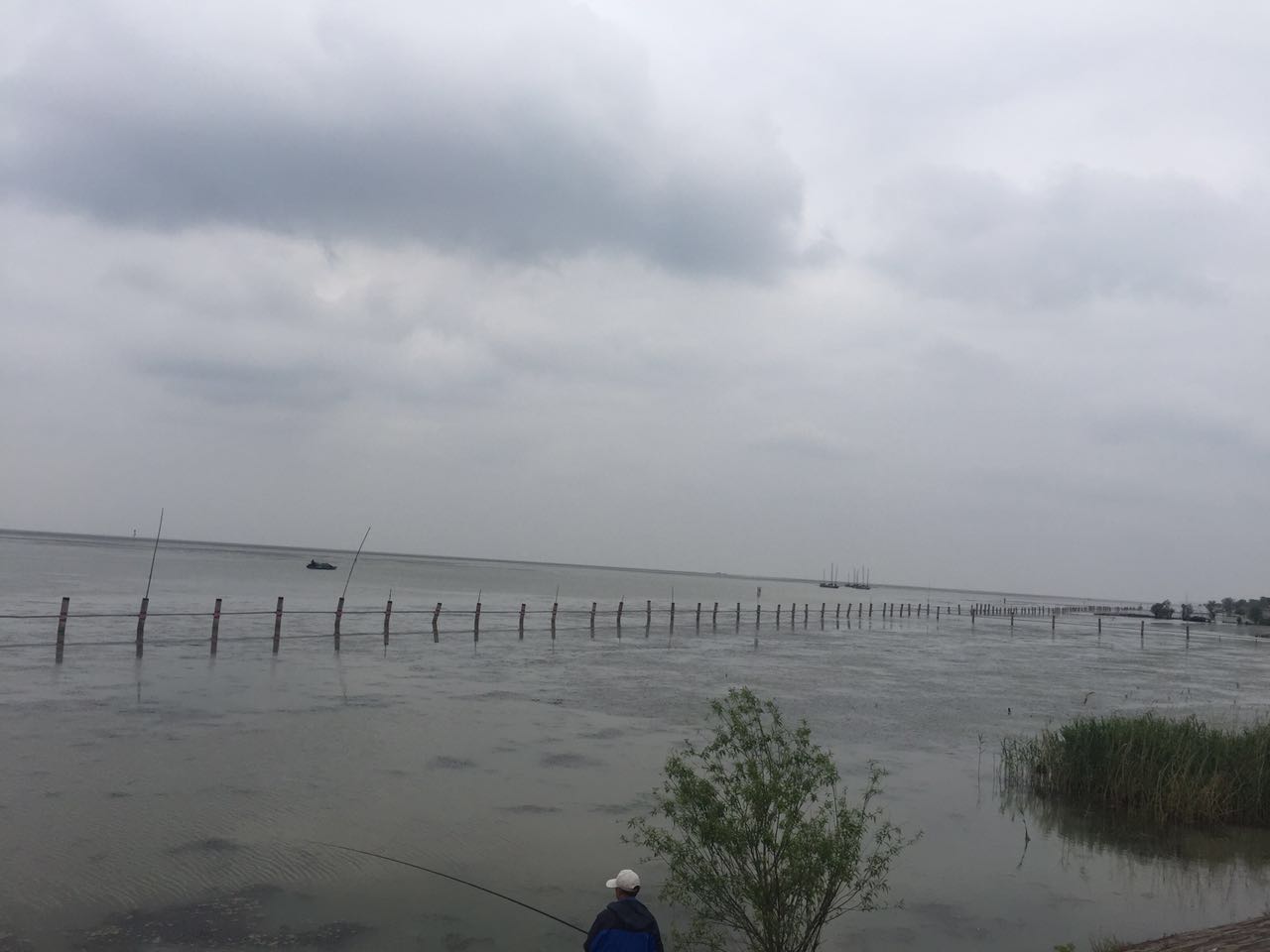 初夏湖邊景,偶遇垂釣翁.jpg